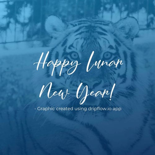 Happy Lunar New Year graphic created with Dripflow